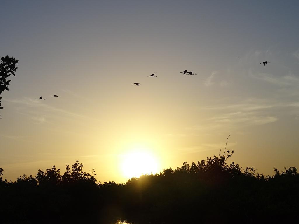 Kansala Ta Toto Kafountine Buitenkant foto